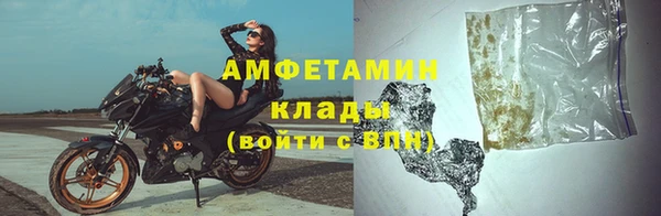 гидра Богородск