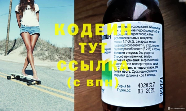 гидра Богородск