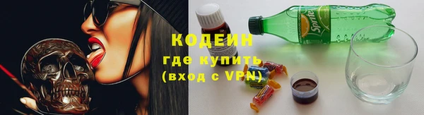 гидра Богородск