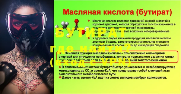 гидра Богородск