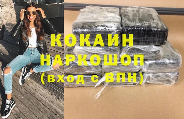 гидра Богородск