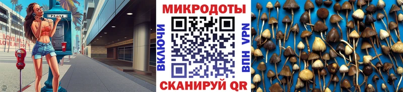 Галлюциногенные грибы мицелий  Кирсанов 
